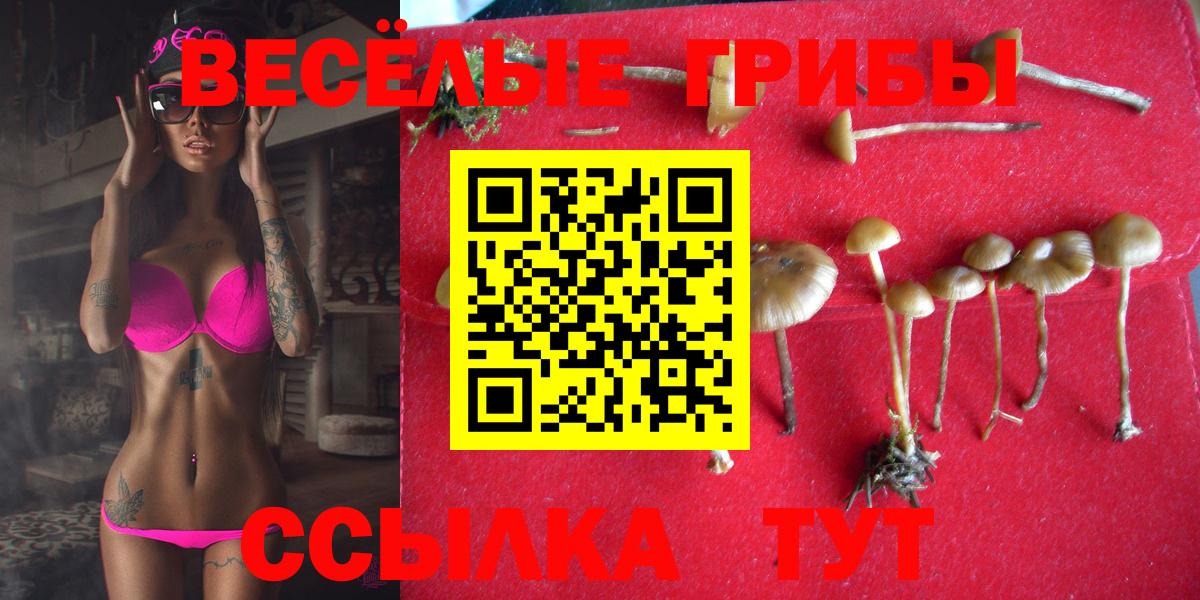 Псилоцибиновые грибы мухоморы  Галлюциногенные грибы Psilocybe  Вход с VPN  Новоуральск 