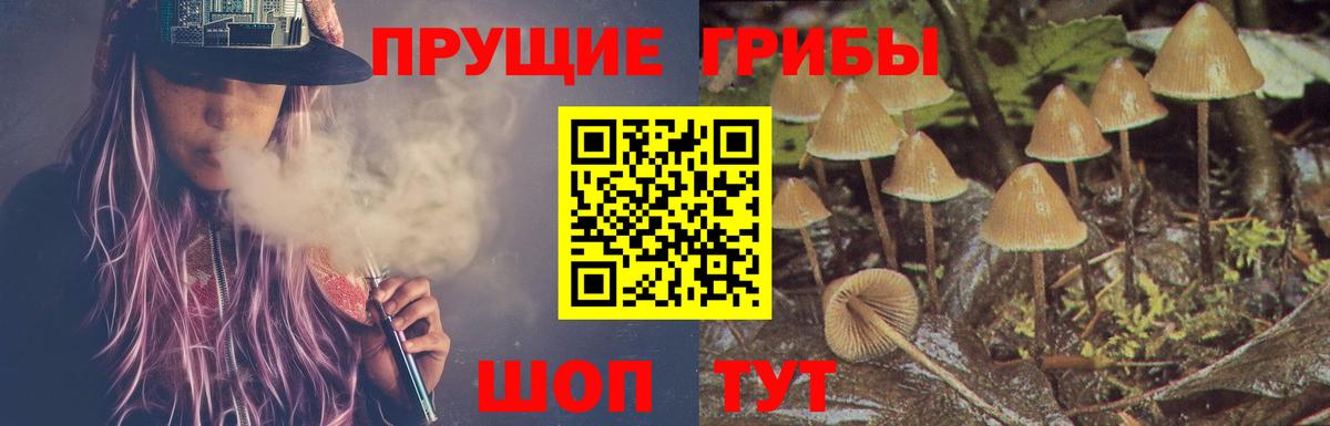 Псилоцибиновые грибы прущие грибы Новоуральск